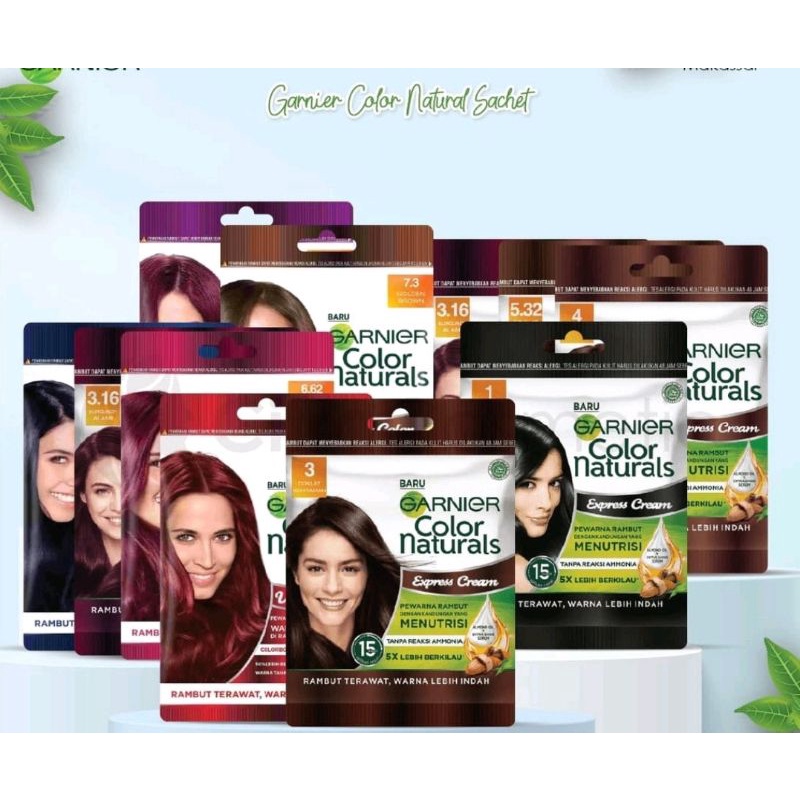 Garnier Hair Colour Sachet