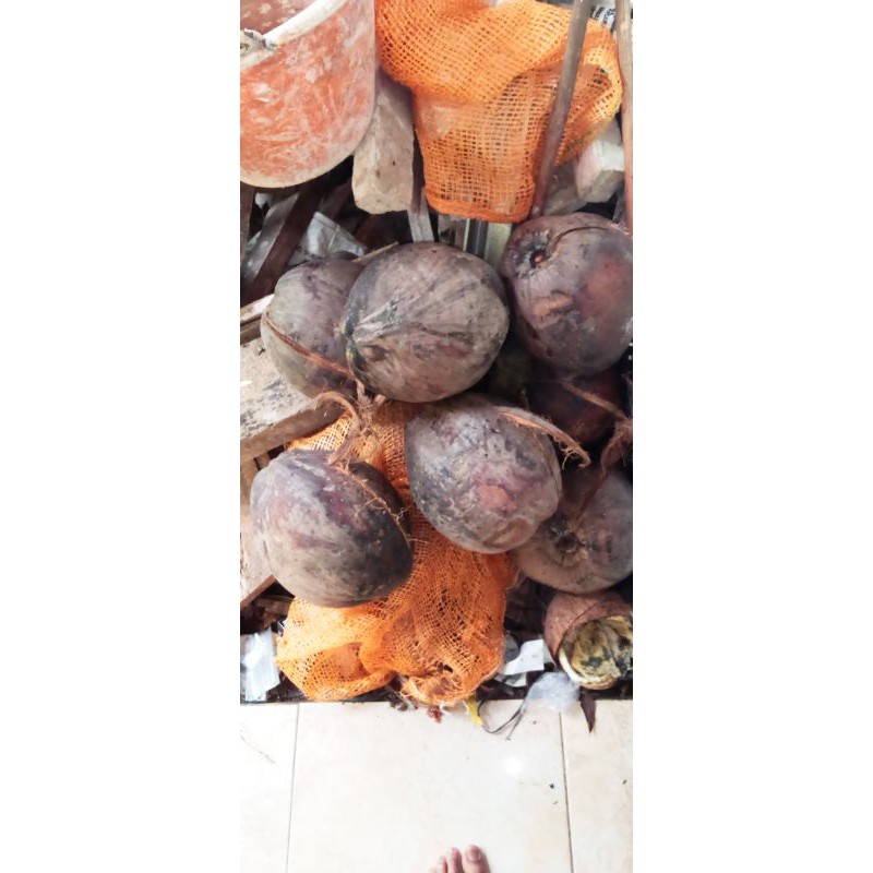 

kelapa tua buat santan dll