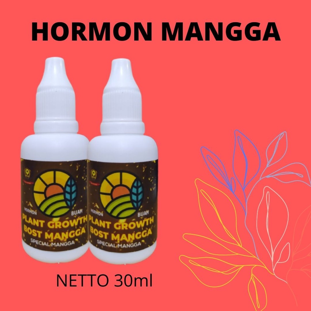 Hormon Perangsang mangga agar cepat berbuah, Pupuk Hormon Buah mangga