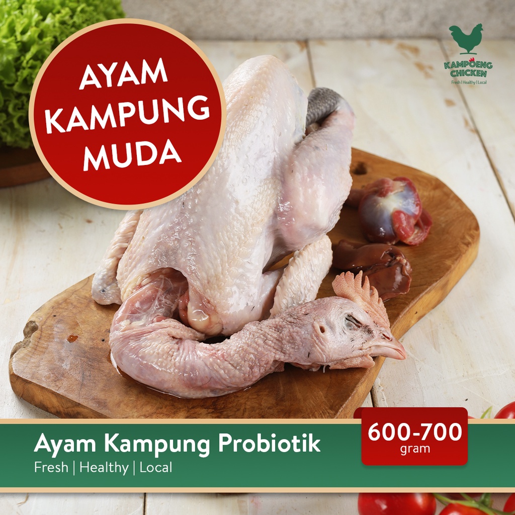 

Ayam Kampung Probiotik Sehat Halal Karkas Muda (600-700 Gram)