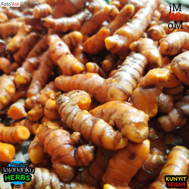 

Kunyit 250gr Kunir Segar Murah