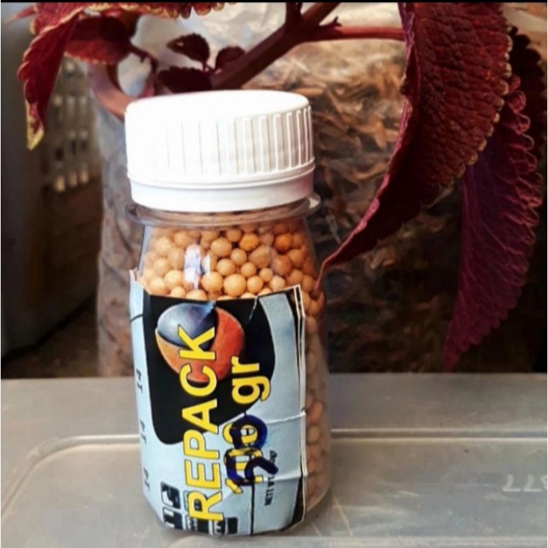 pupuk osmocote 14 14 14 seimbang repack 50 gram, pupuk slow release