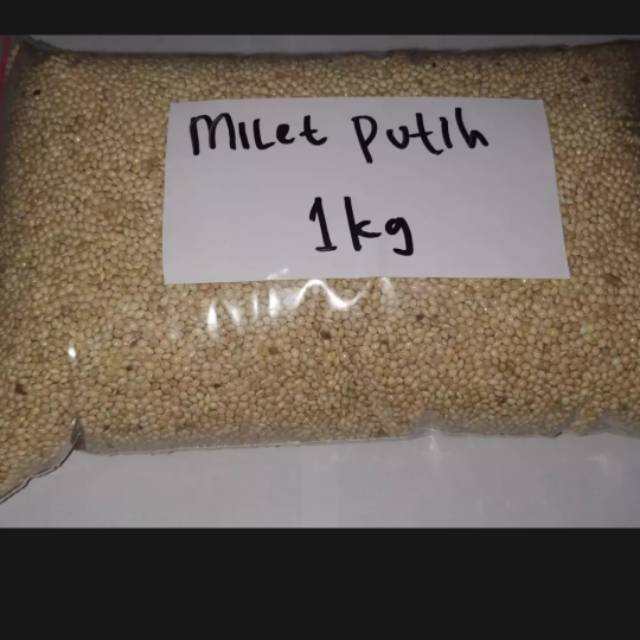 Milet putih kiloan respek putih bersih