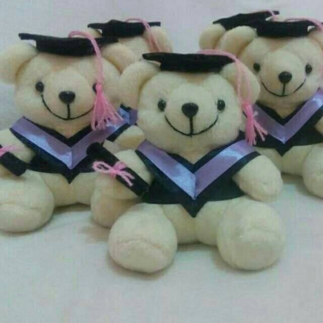 Boneka wisuda mini teddy, doraemon 15cm