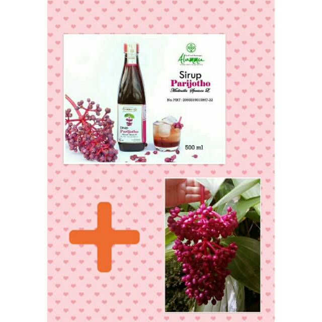 

COD - PROMIL SEHAT SIRUP PARIJOTO 500 ML + BUAH PARIJOTO SETANGKAI / NUTRISI HAMIL