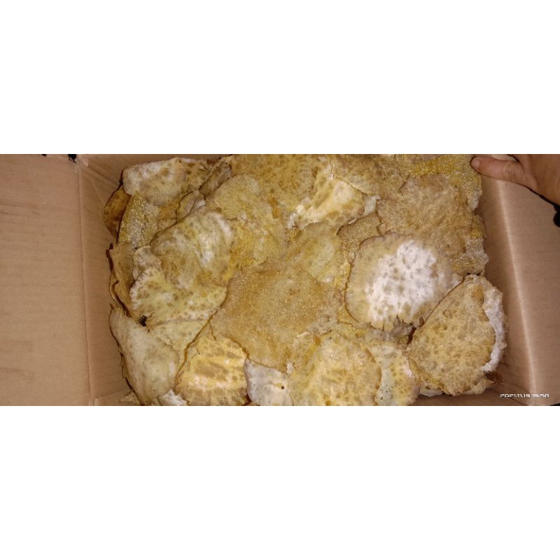 

emping jengkol mentah