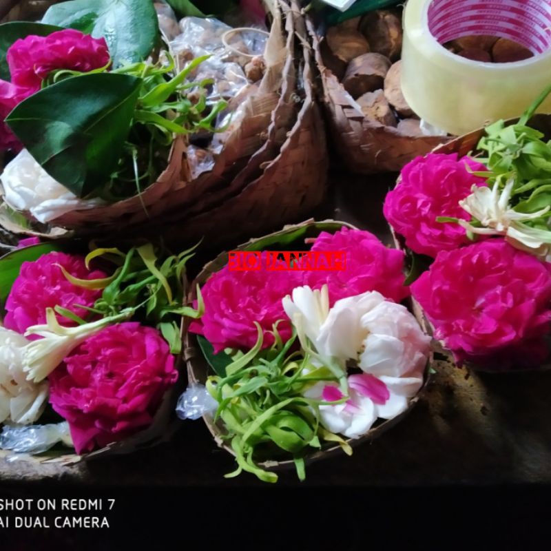 ramuan tradisional bunga spa macan kerah