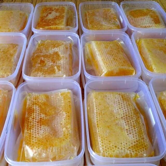 

Madu sarang melifera