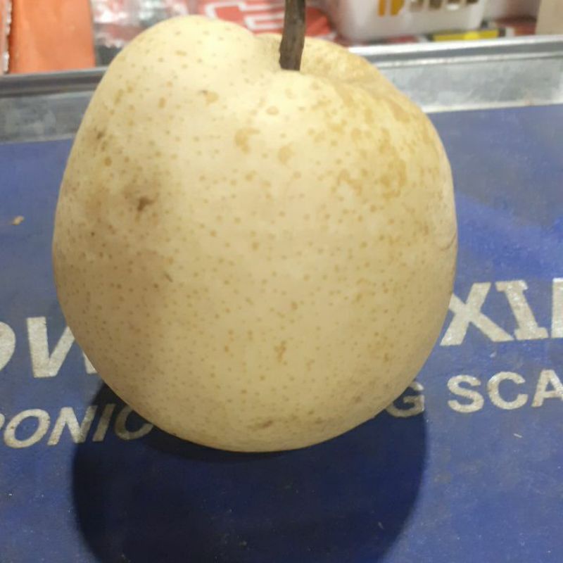 

Buah Pir Madu