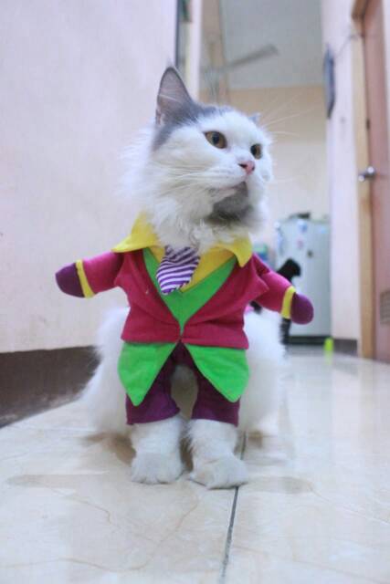 Kostum Joker hijau lucu untuk kucing dan anjing / baju kucing murah size S M L XL