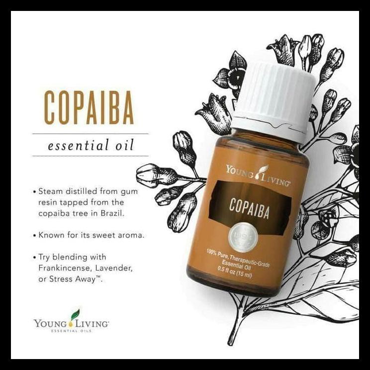[YL] Essential Oil COPAIBA