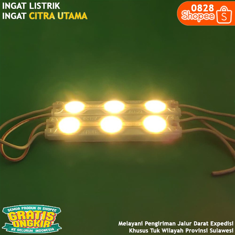 LAMPU LED MODULE 3MATA BIASA [WW] ROHS K0828
