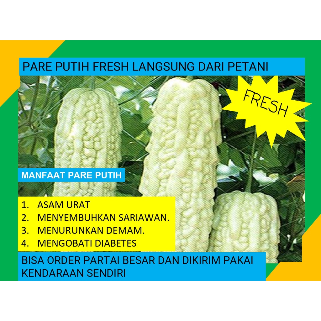 

Pare Putih Fresh Box Langsung Dari Petani