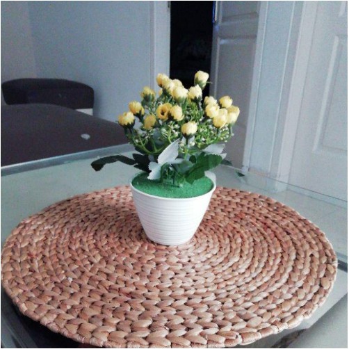 Placemat / Alas Meja / Walldecor Anyaman Enceng Gondok diameter 40 cm