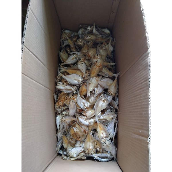 

Ikan asin kuer dan montok asli Pangandaran