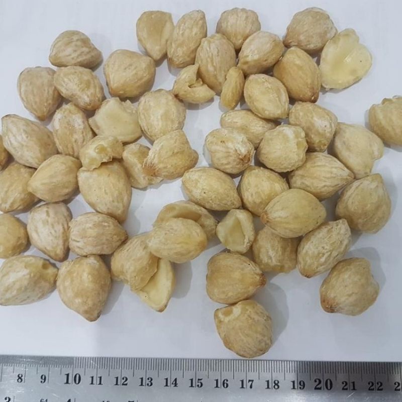 

Kemiri Bumbu Masak 250 gram SAYUR ONLINE BANDUNG