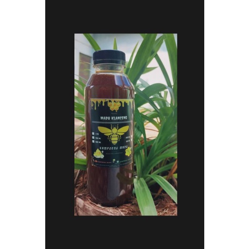 

MADU KLANCENG/KELULUT/TRIGONA MURNI ASLI