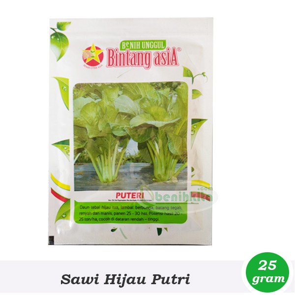 Benih-Bibit Sawi Manis Putri 25gr (Bintang Asia)