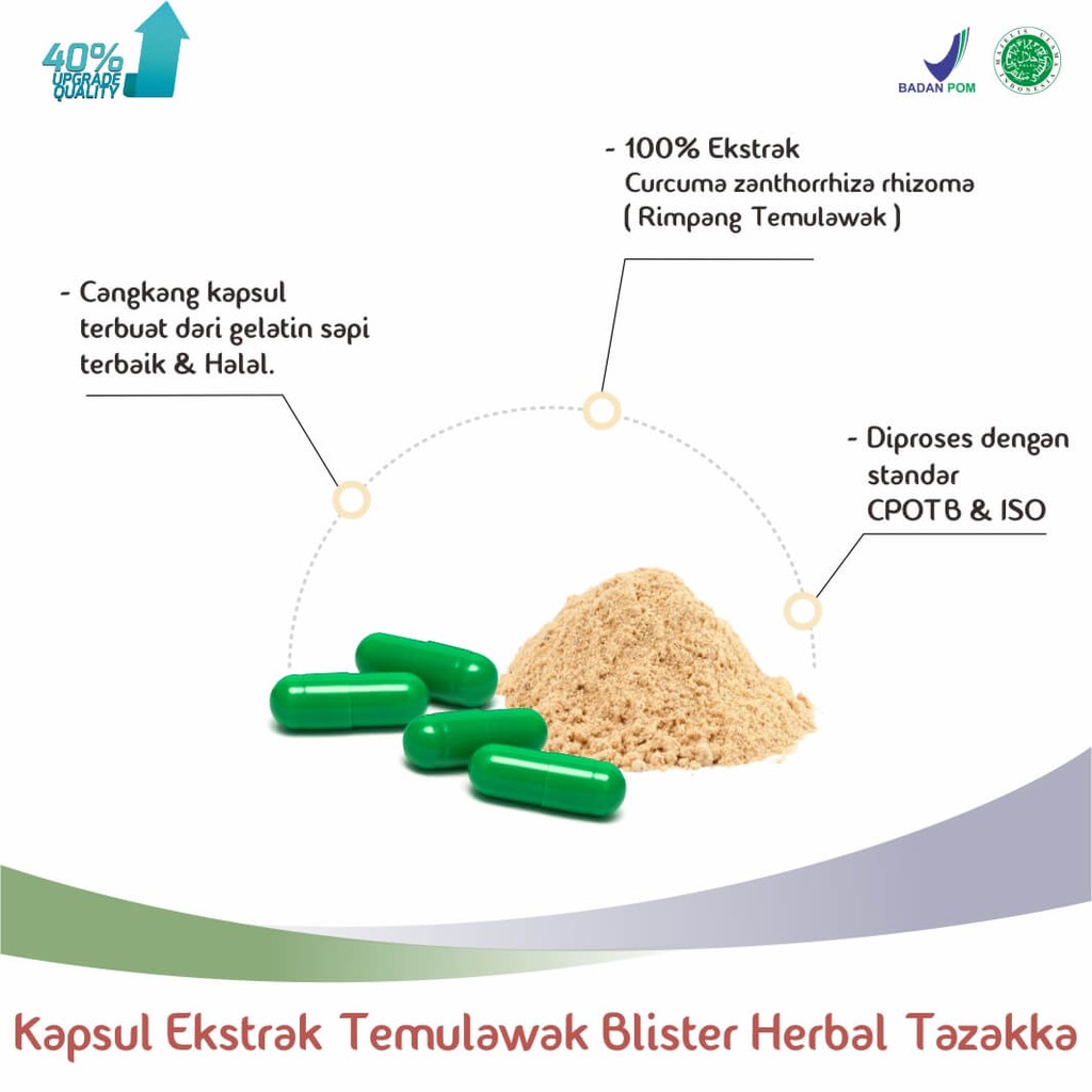 obat herba blister temulawak original tazakka ampuh mengobati maag dan gangguan lambung berkualitas