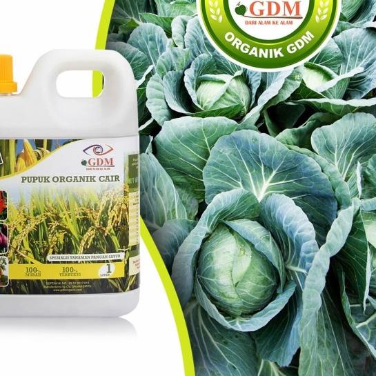 ➧ GDM Pupuk Organik Cair untuk Tanaman Pangan Sayur ☋