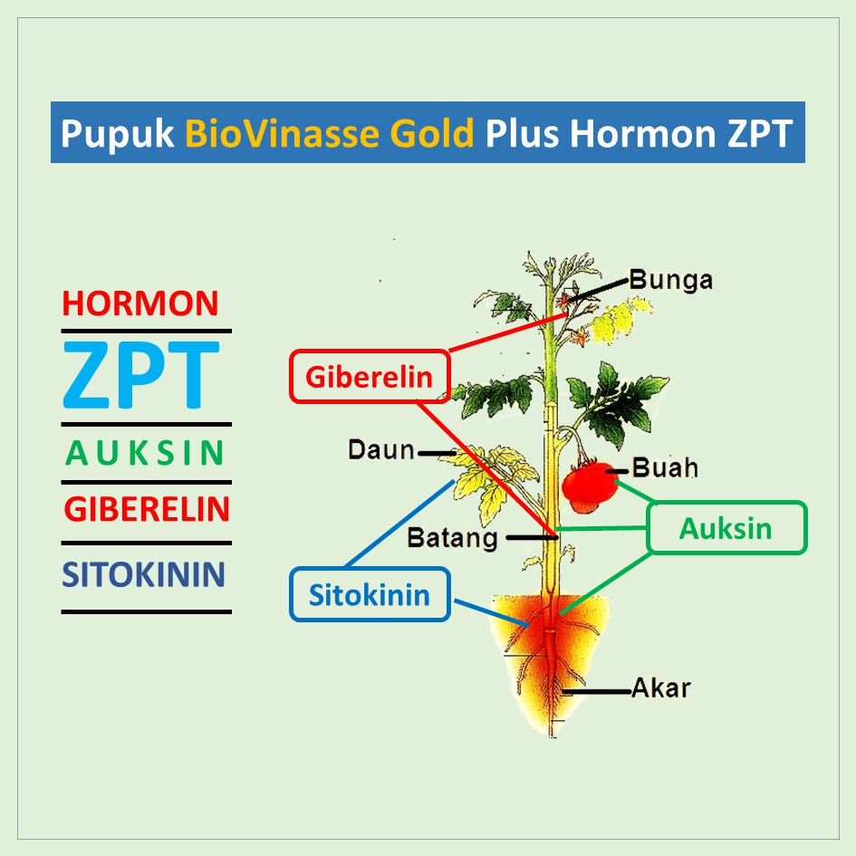 Pupuk Organik Cair Tanaman Hias Dilengkapi Hormon ZPT Vitamin B1 Insektisida Alami Langsung Pakai