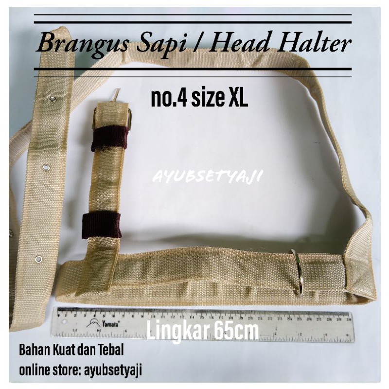 Brangus Sapi Head Halter size XL sapi kambing kuda Tali ikat kepala tali tuntun aksesoris helter kal
