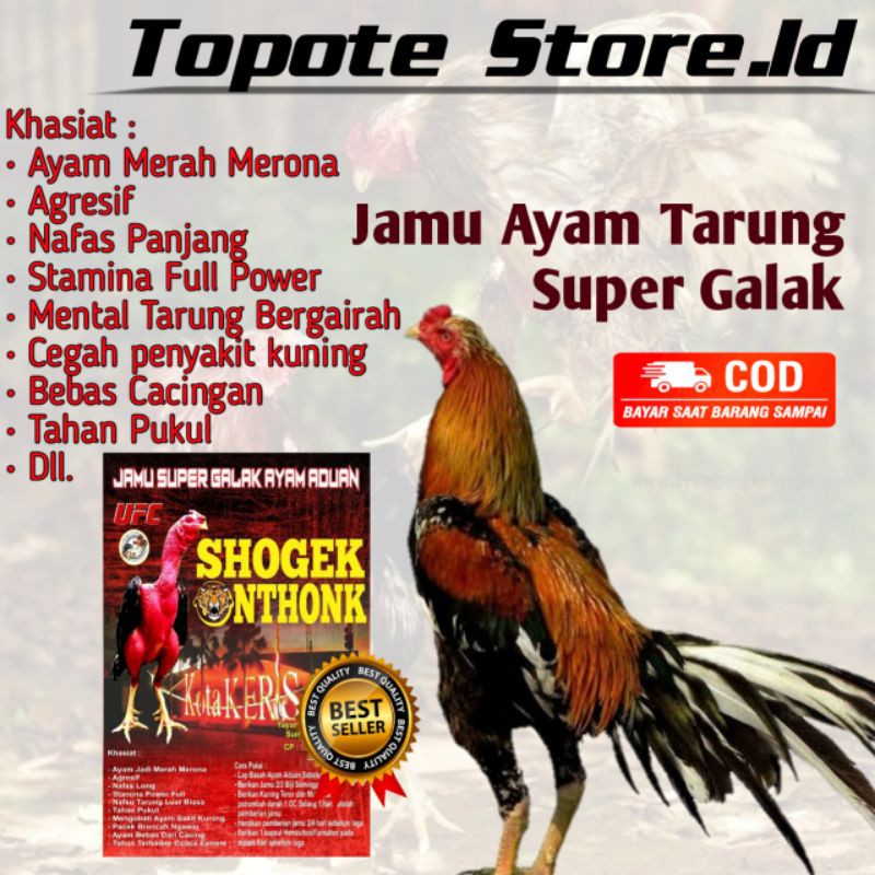 Jamu Ayam Tarung Super Agresif