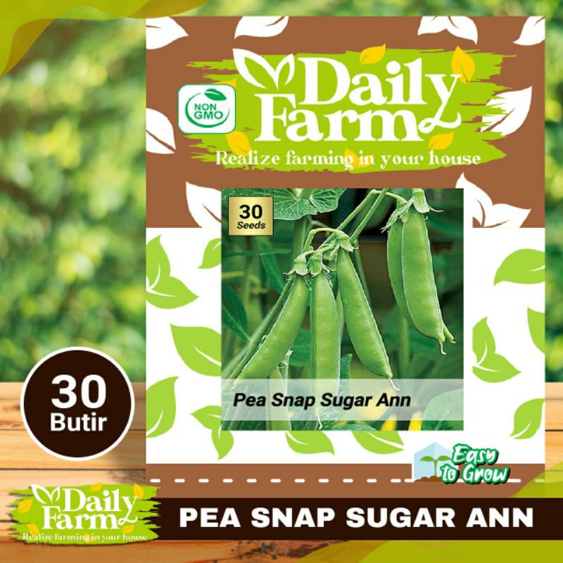 Jual Benih Sayur Kacang Kapri Manis Pea Snap Sugar Ann Daily Farm Shopee Indonesia