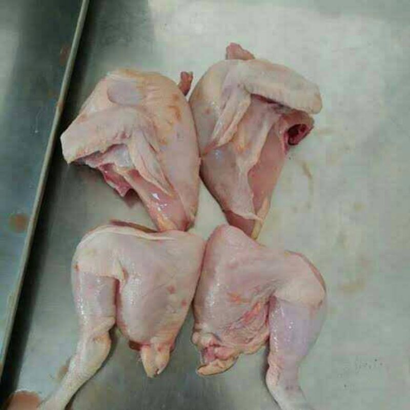 

Ayam TG 1kg isi 10-14 Bakul Sayur Murah Bandung
