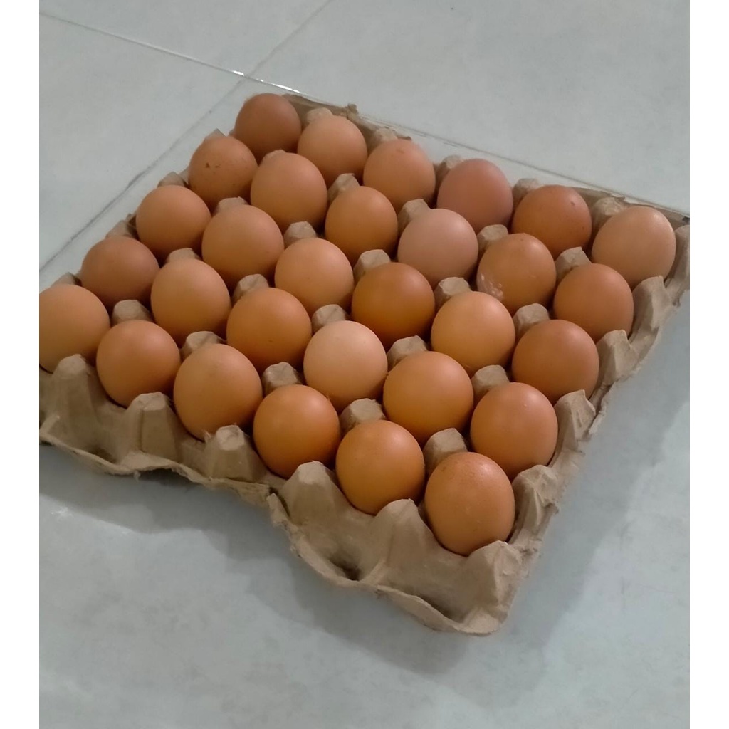 

Telur Ayam Negeri /KG (isi 15-17 butir)