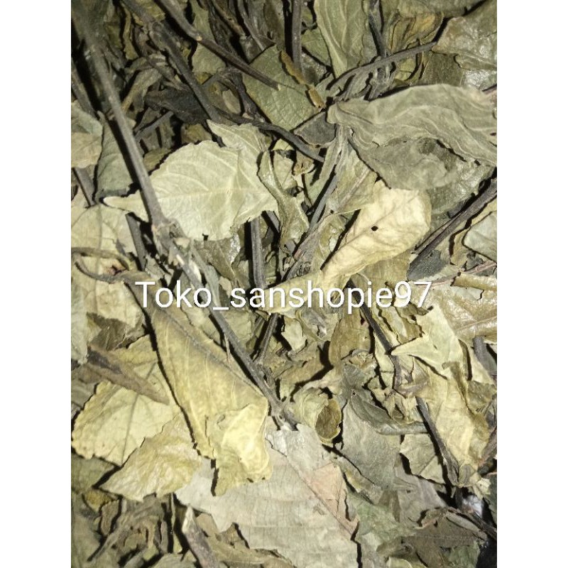 

Daun keji beling pecah beling kering / 100 gram