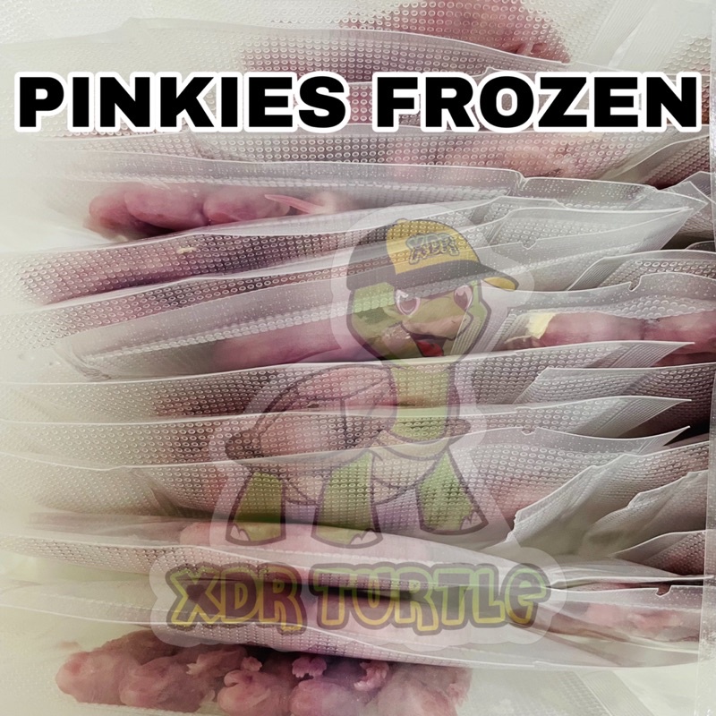 act PINKIES FROZEN ANAK TIKUS BEKU MAKANAN ULAR KADAL BIAWAK BEARDED DRAGON