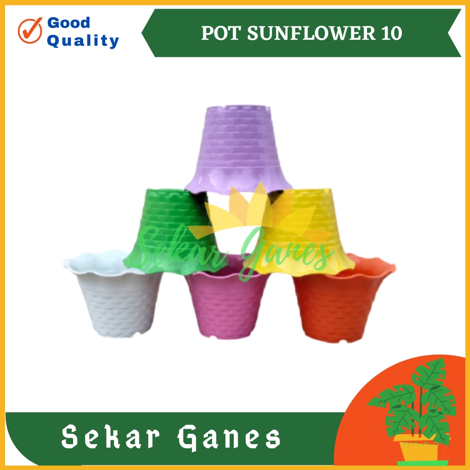 POT SUN FLOWER MDN 10 CM MOTIF BATA POT BUNGA SUNFLOWER WARNA WARNI - pot kaktus mini lucu