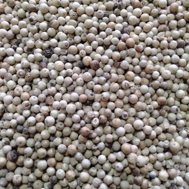 

LADA BULAT 250GR