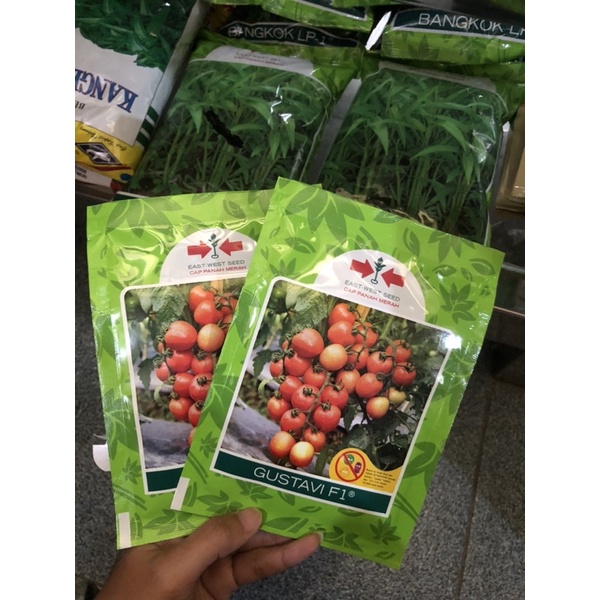 Gustavi Benih Tomat Hybrid cap Panah Merah