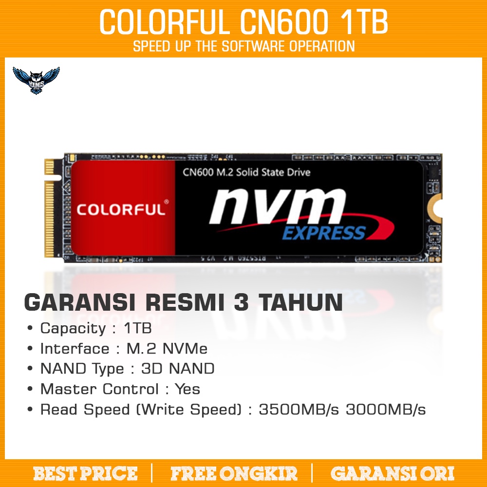 SSD COLORFUL CN600 1TB - M.2 NVME Garansi 3 Tahun