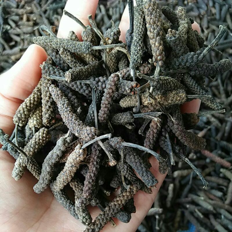 Cabe jamu kering 1kg // Cabe puyang