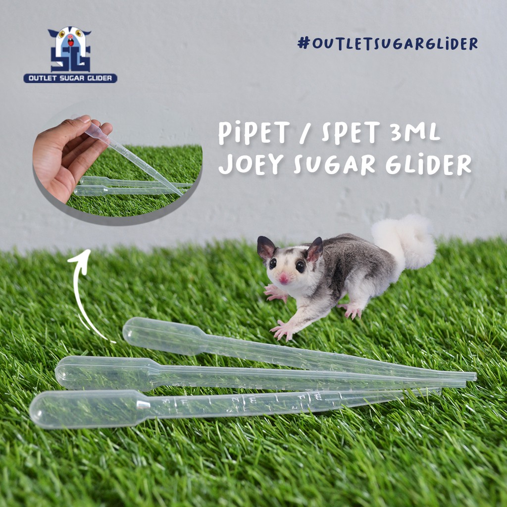 PIPET / SPET 3ml JOEY SUGAR GLIDER / ALAT BANTU FEEDING LOLOHAN MAKAN