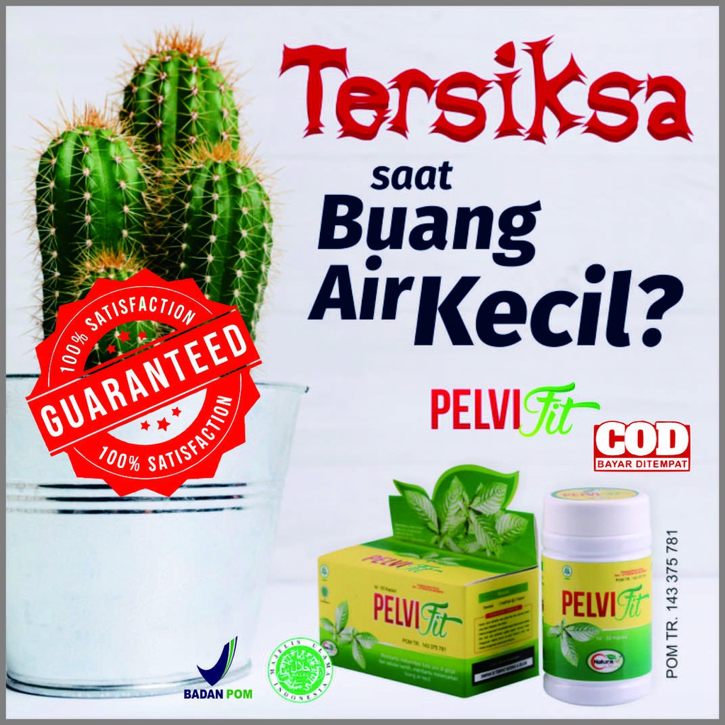 Pelvifit Peluruh Batu Ginjal