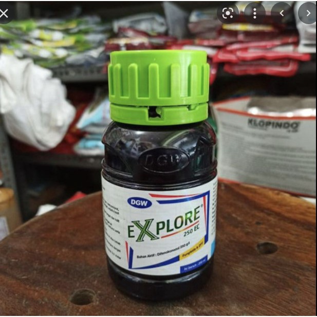 fungisida explore 80ml