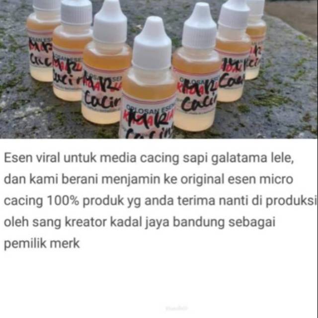 Esen Mikro Cacing Kadal Jaya galatama lele dan bawal