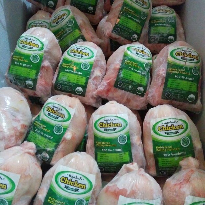 

Ayam Sehat Organik