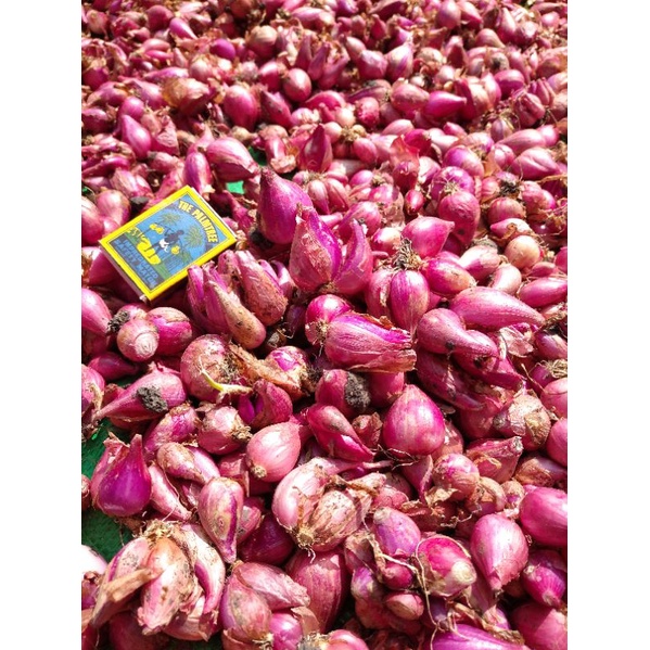 

bawang merah brambang onion asli lokal petani nganjukan 1KG