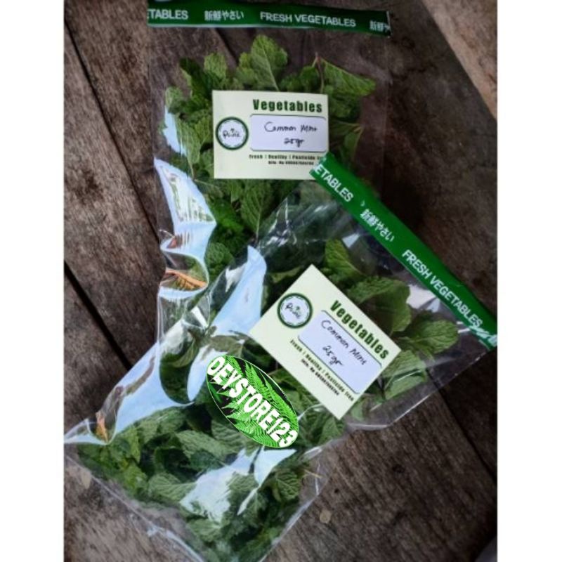 

Paket 300 Gram Daun Mint Segar