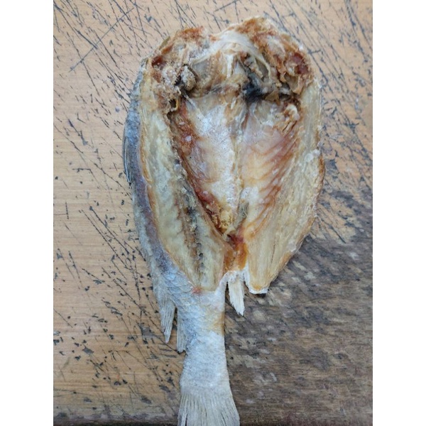 

IKAN ASIN BELEK WATU / KEPALA BATU MENTAH