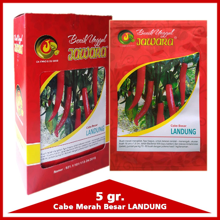 COD BIBIT CABAI CABE MERAH BESAR LANDUNG ISI 5GR - BENIH CABE