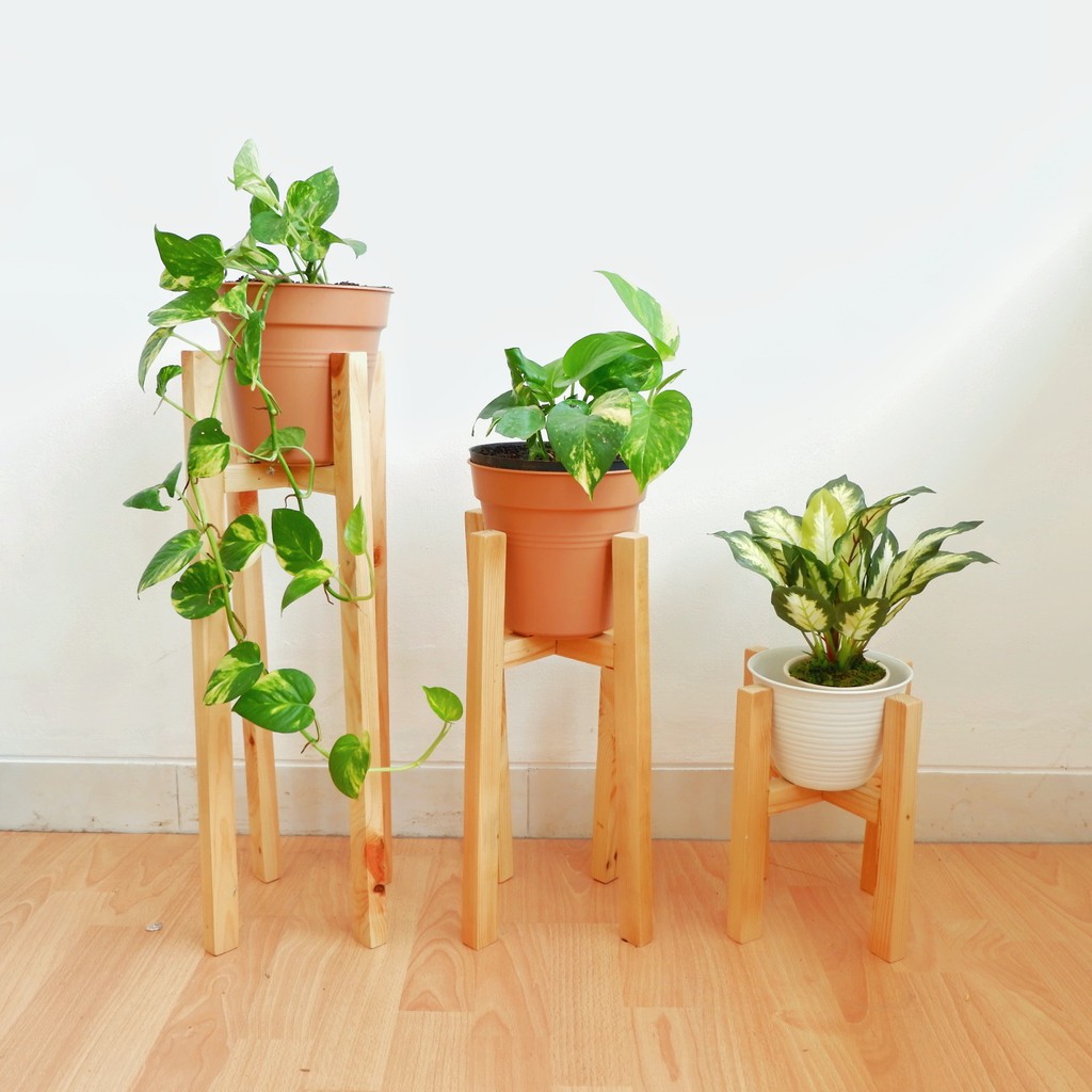 Standing pot tanaman plant tatakan bungan kayu jati Standing pot tanaman plant tatakan bungan kayu jati