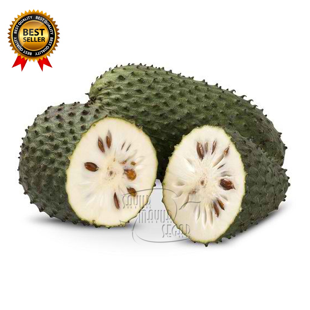 

KIRIM INSTAN SIRSAK FRESH | BUAH SIRSAK SEGAR