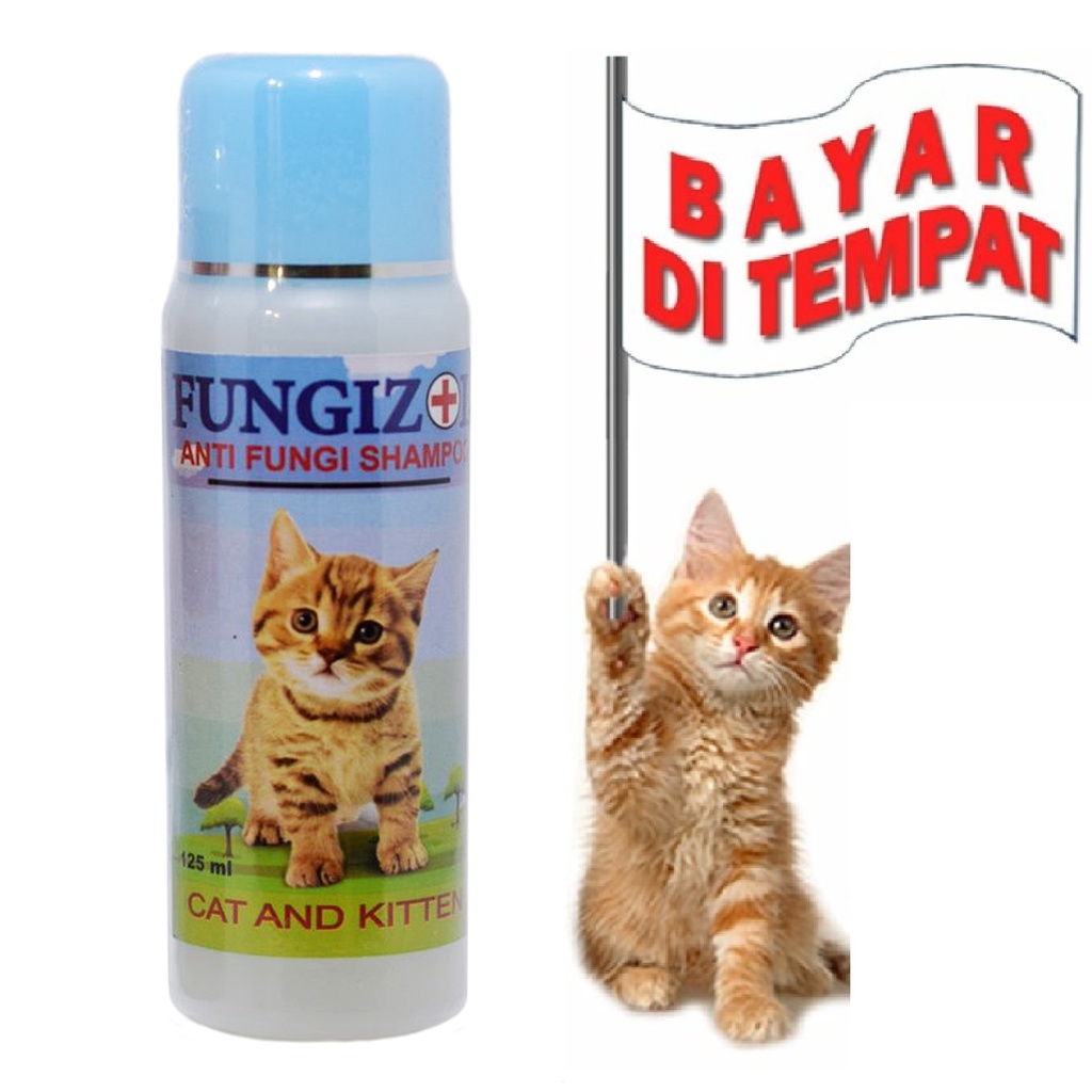 SAMPO KUCING KITTEN ANTI JAMUR KUTU TERMURAH FUNGIZOL CAT