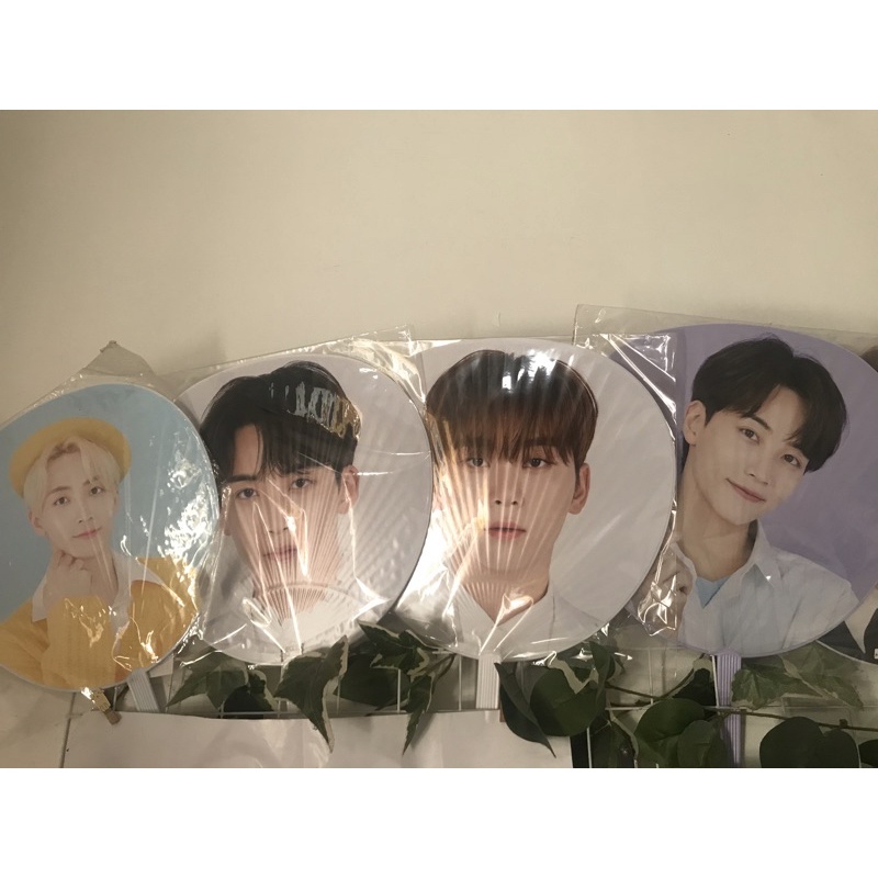 READY SEVENTEEN JEONGHAN IMPICK UCHIWA